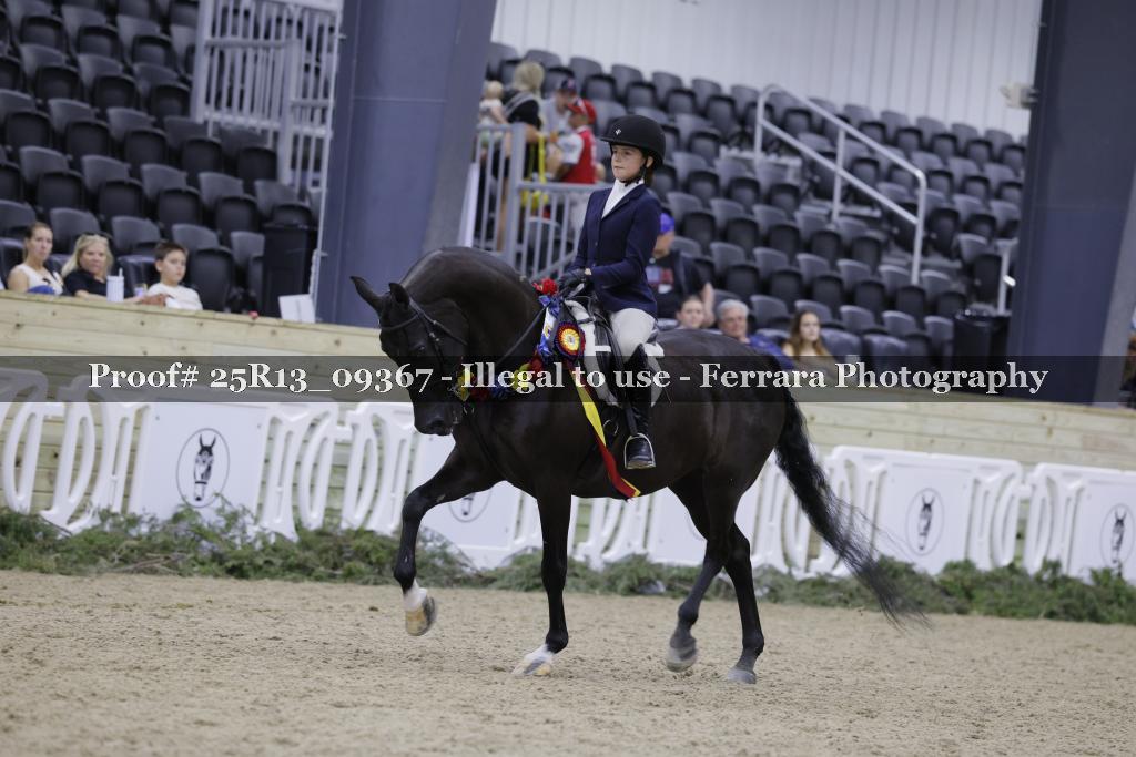 Proof Number 25R13_09367