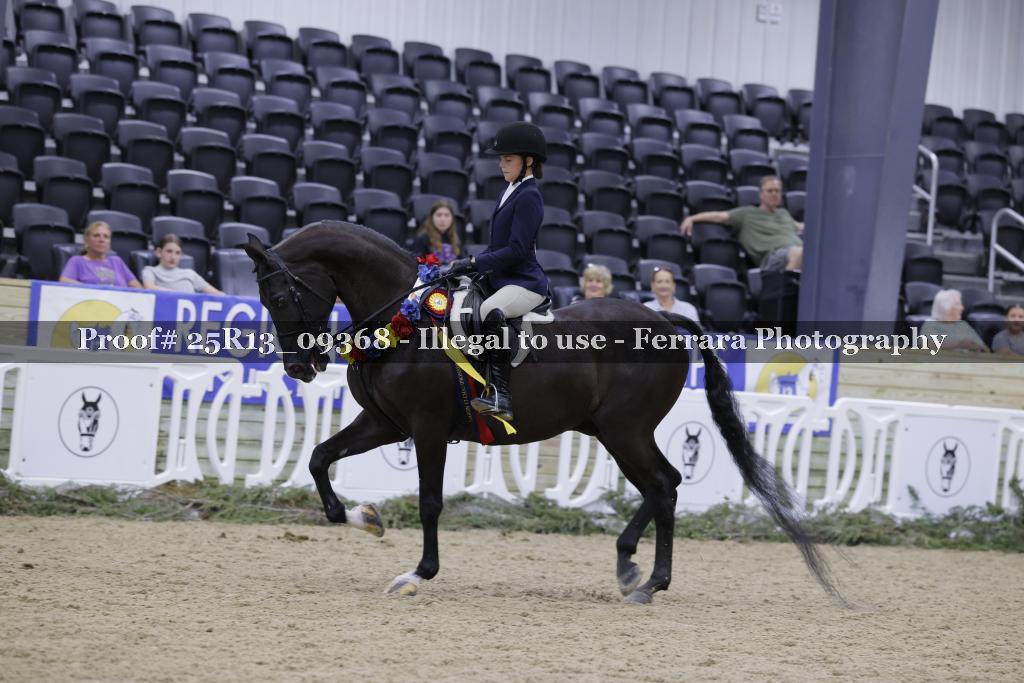 Proof Number 25R13_09368