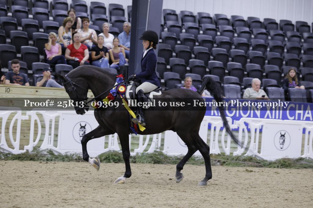 Proof Number 25R13_09369