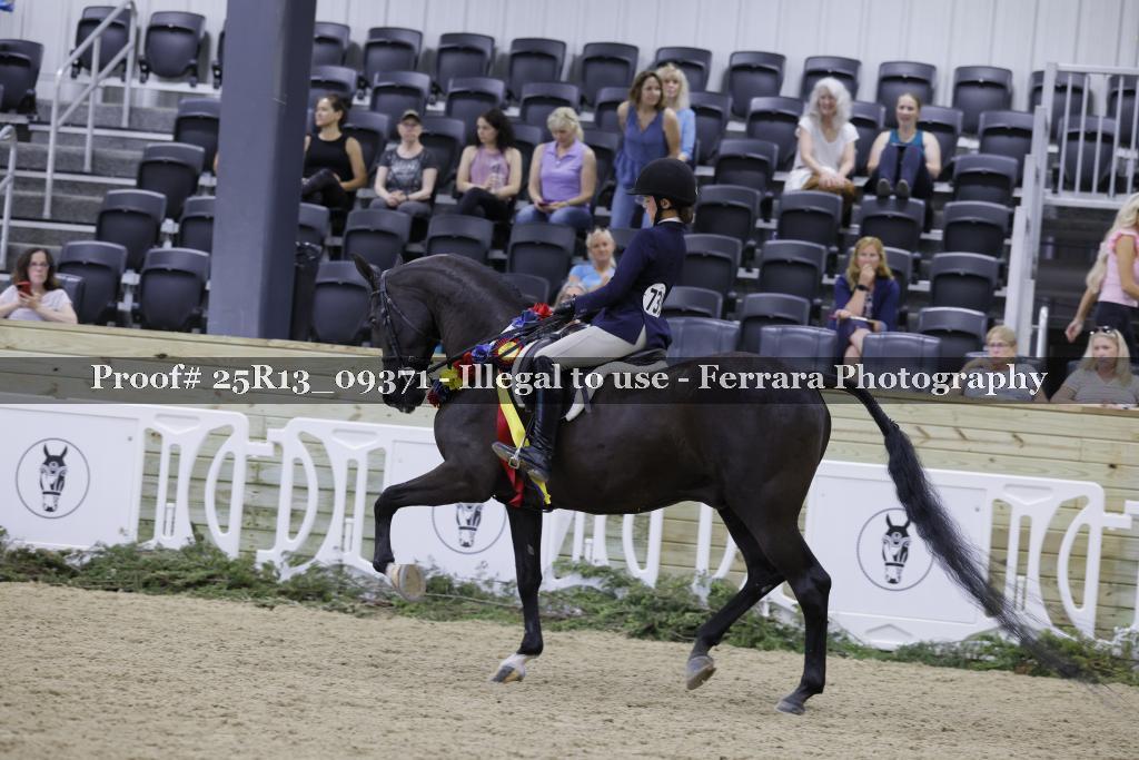 Proof Number 25R13_09371