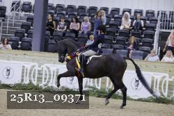 25R13_09371 thumbnail