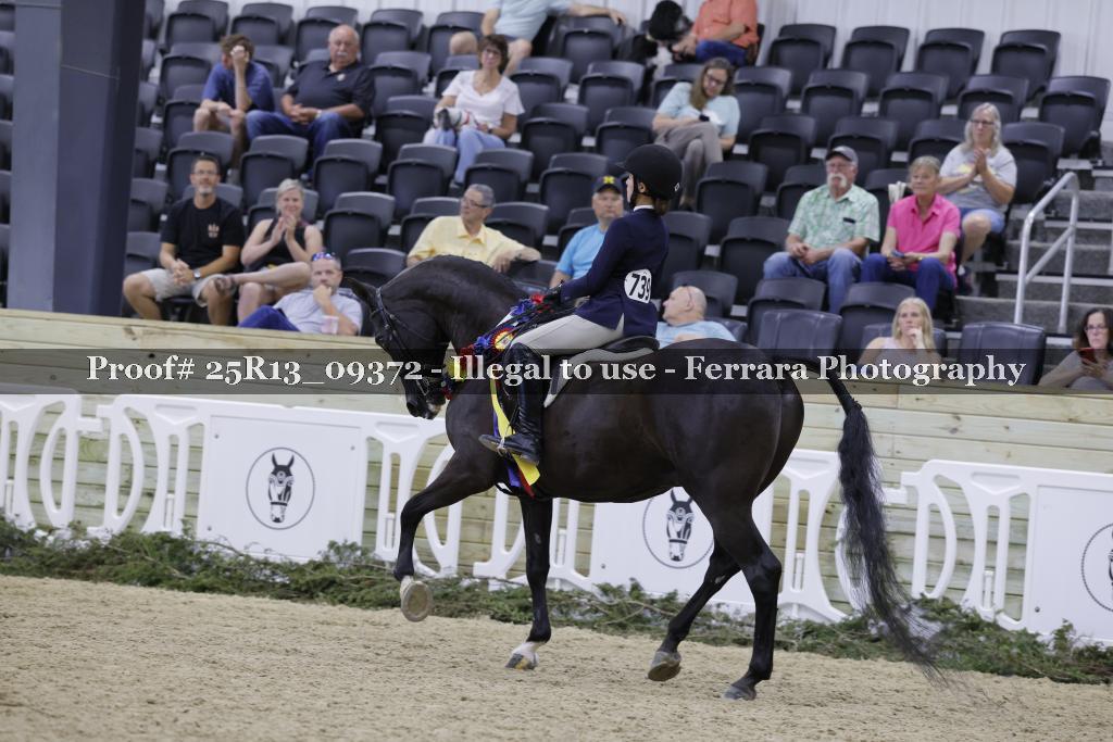 Proof Number 25R13_09372
