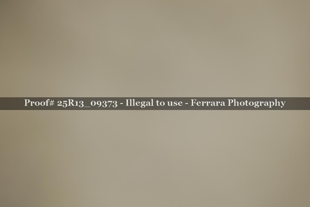 Proof Number 25R13_09373