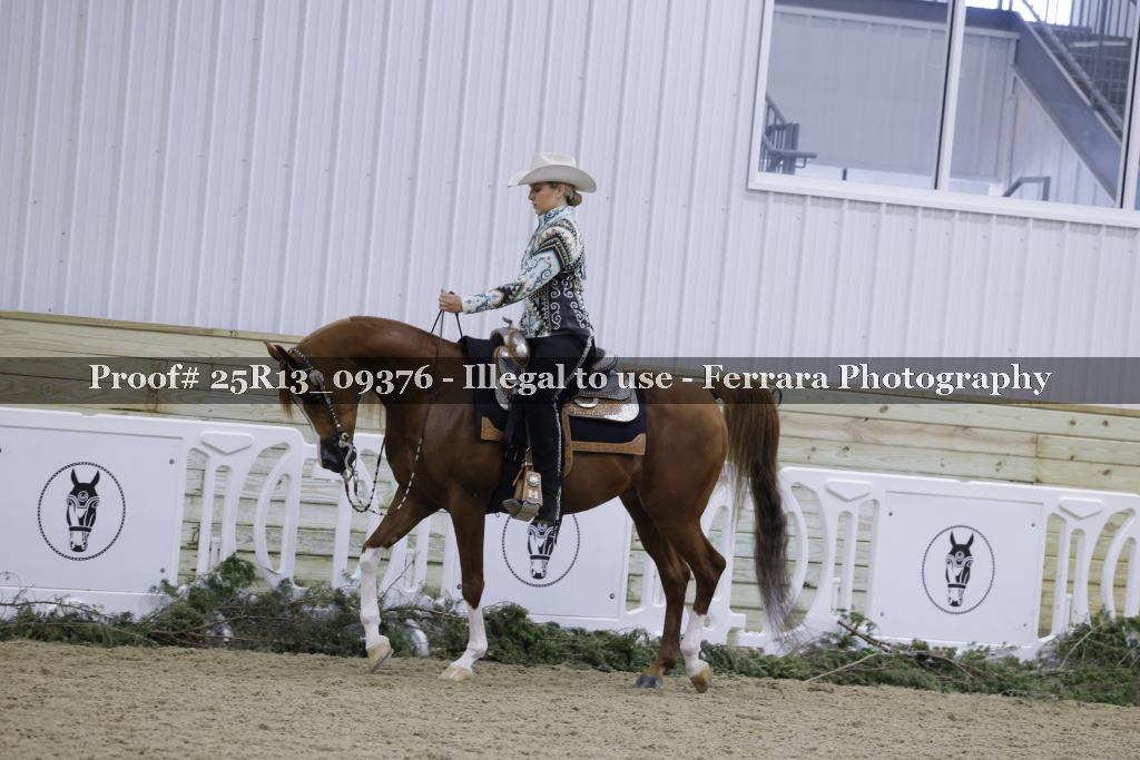 Proof Number 25R13_09376