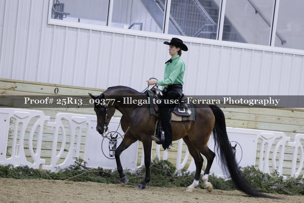 Proof Number 25R13_09377