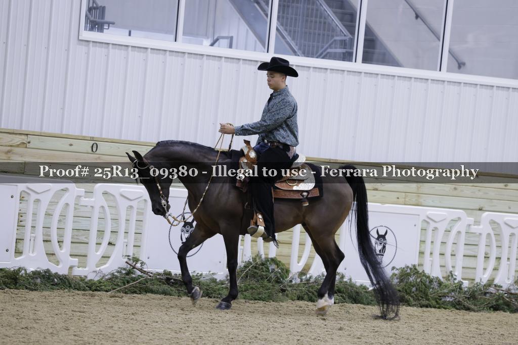 Proof Number 25R13_09380
