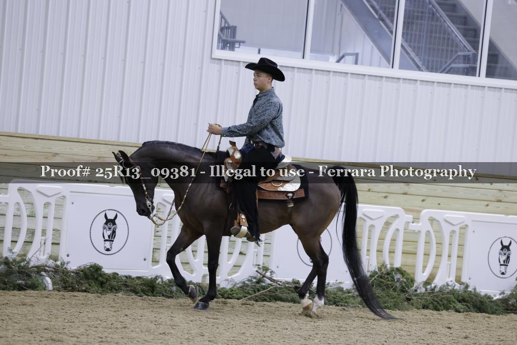 Proof Number 25R13_09381