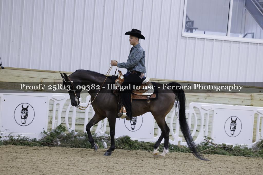 Proof Number 25R13_09382