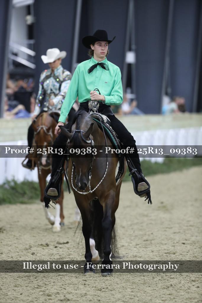 Proof Number 25R13_09383