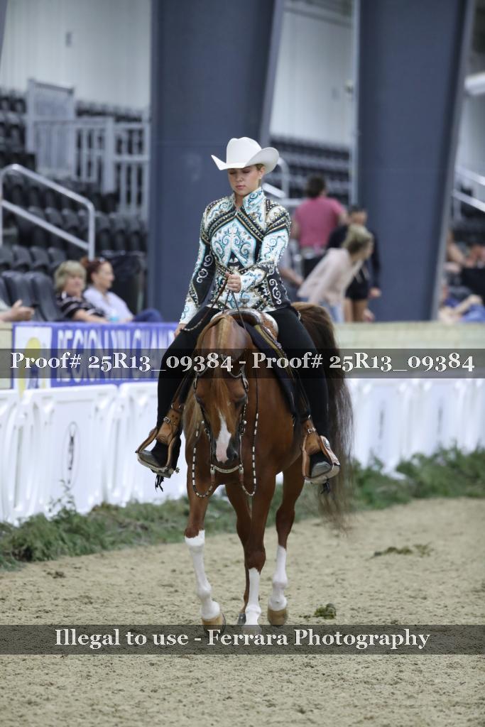 Proof Number 25R13_09384