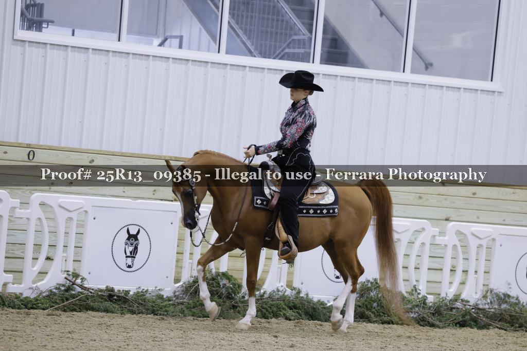 Proof Number 25R13_09385
