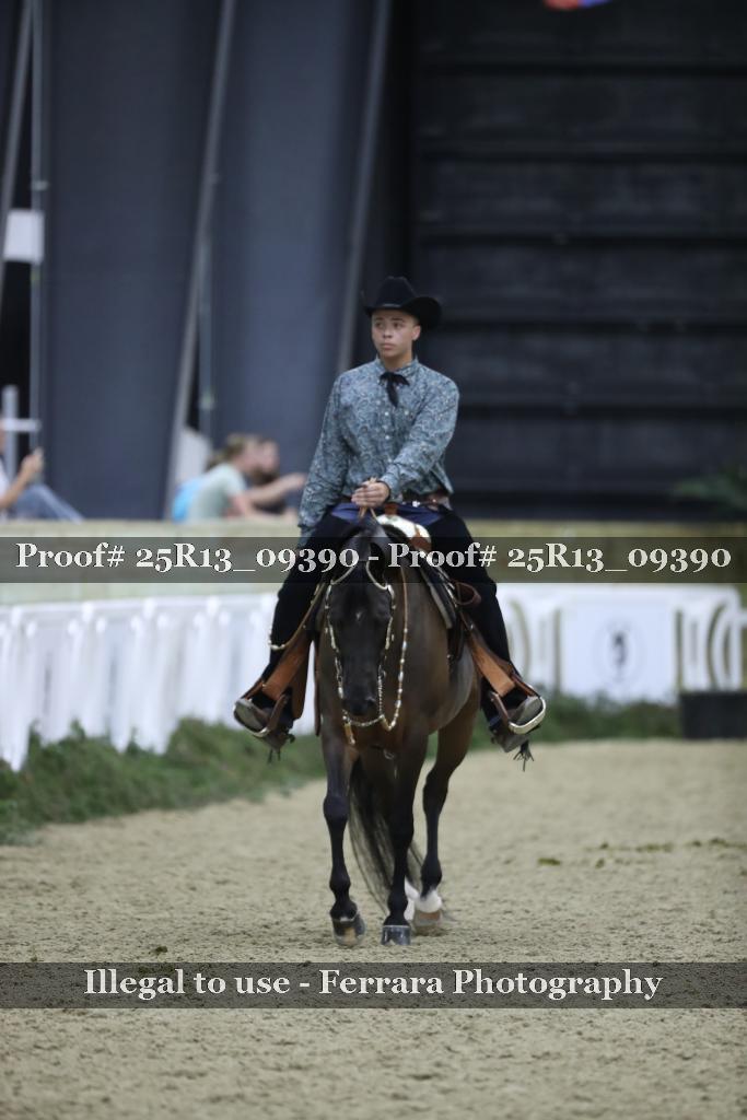 Proof Number 25R13_09390