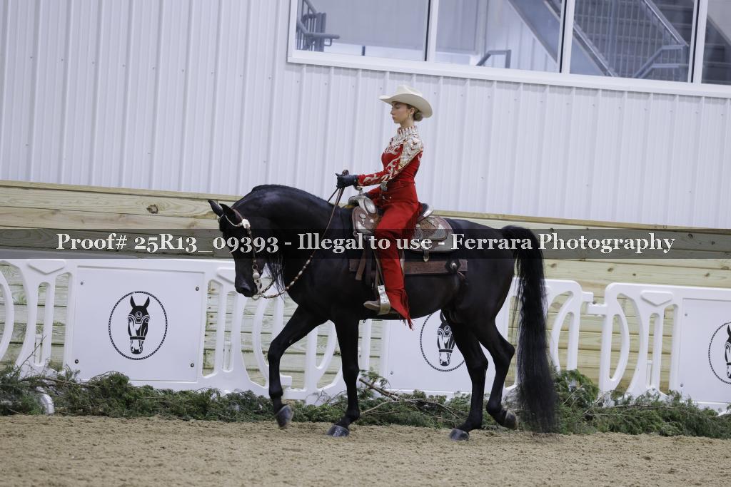 Proof Number 25R13_09393
