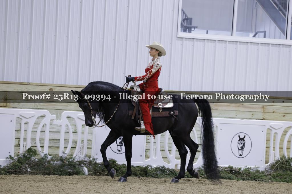 Proof Number 25R13_09394
