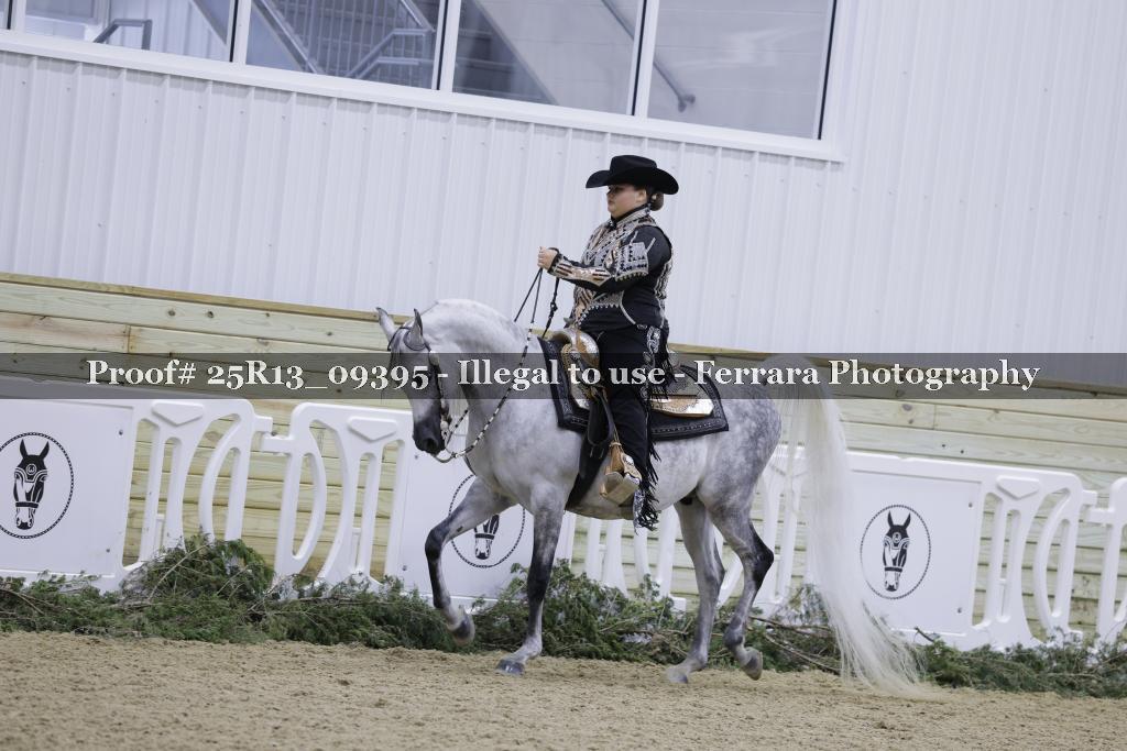 Proof Number 25R13_09395