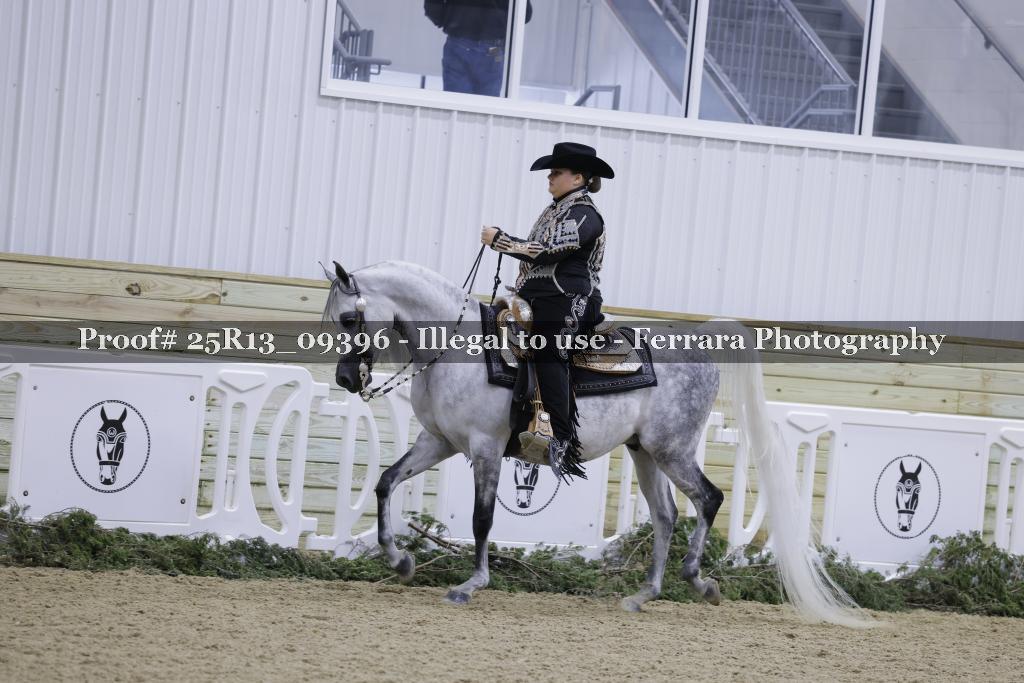 Proof Number 25R13_09396