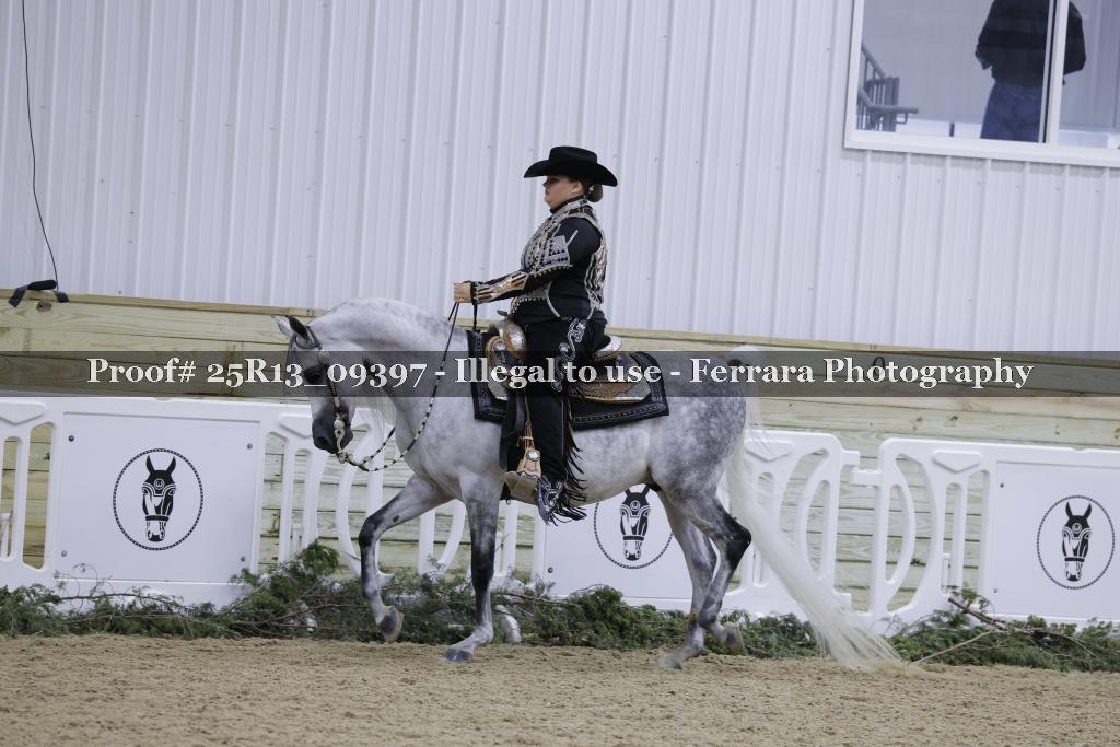 Proof Number 25R13_09397