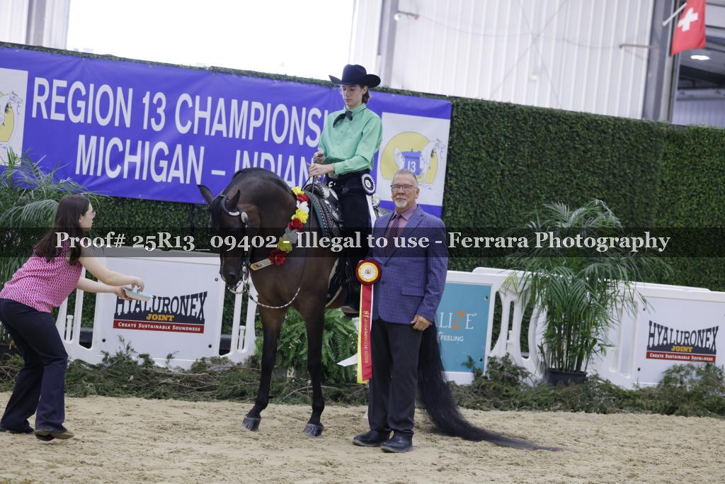 Proof Number 25R13_09402