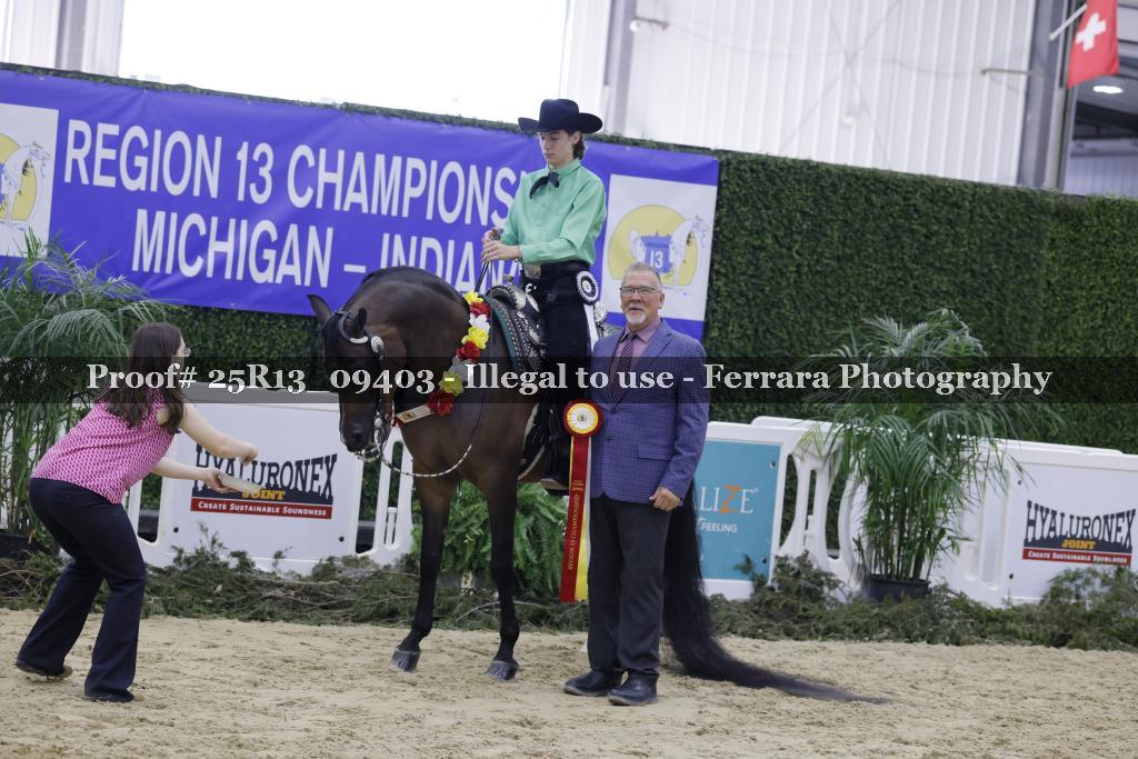 Proof Number 25R13_09403