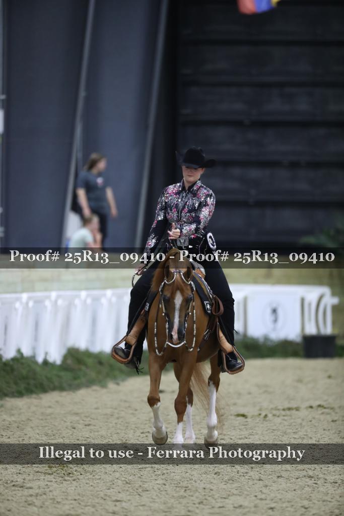 Proof Number 25R13_09410