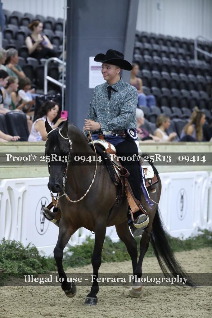 Proof Number 25R13_09414