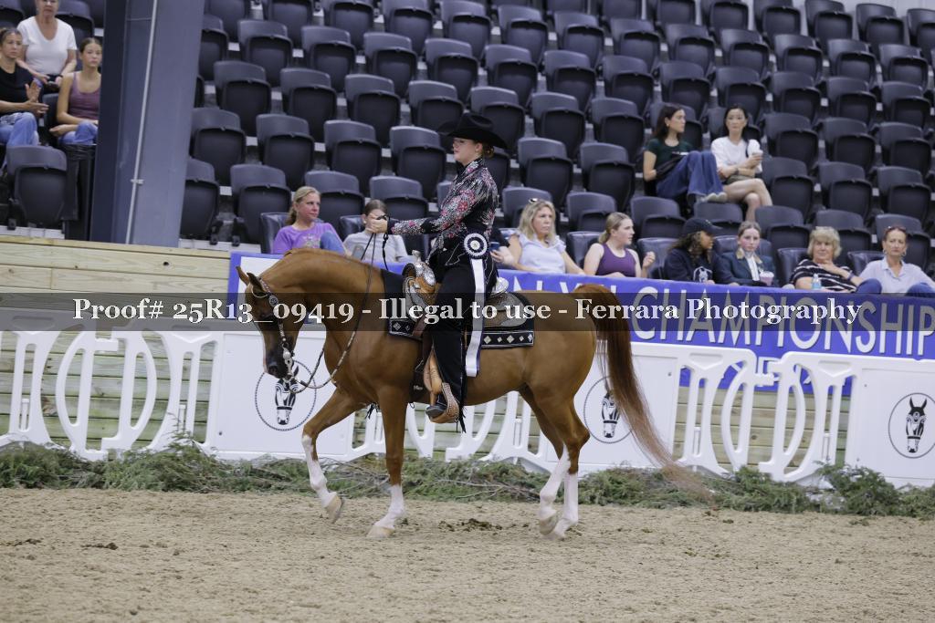 Proof Number 25R13_09419