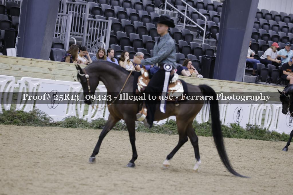 Proof Number 25R13_09423
