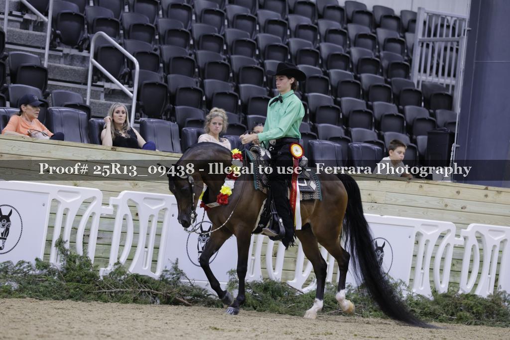 Proof Number 25R13_09438