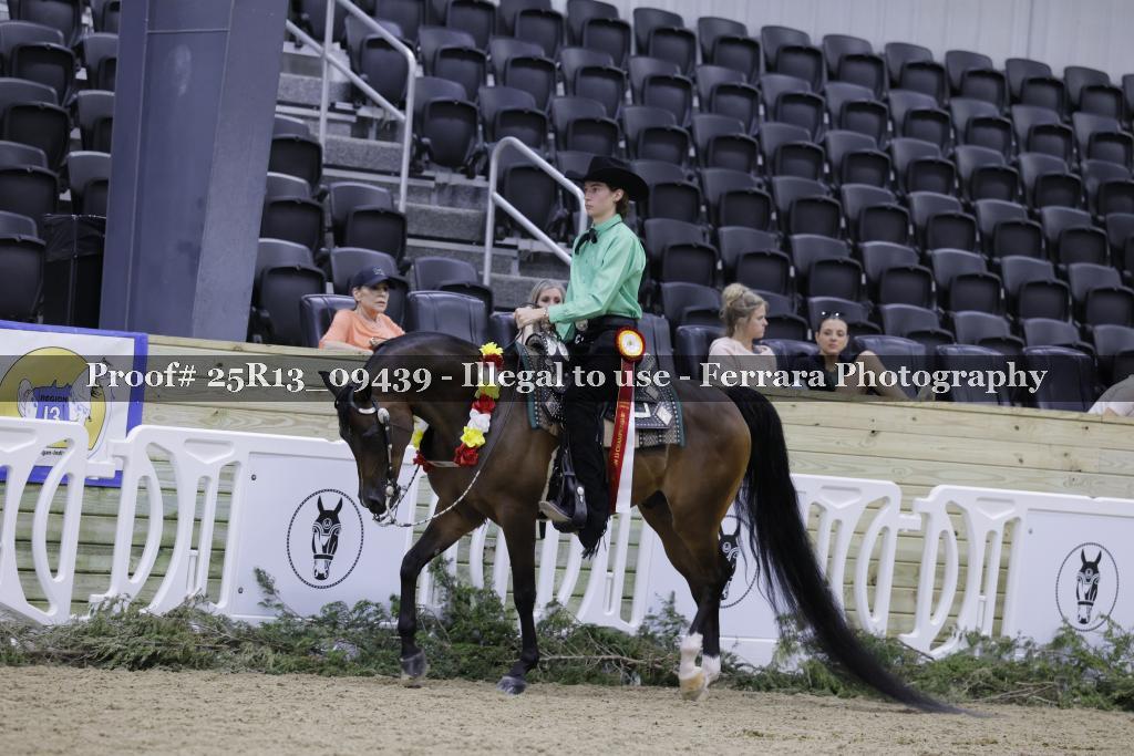 Proof Number 25R13_09439