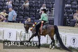 25R13_09451 thumbnail