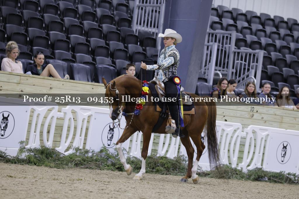 Proof Number 25R13_09453