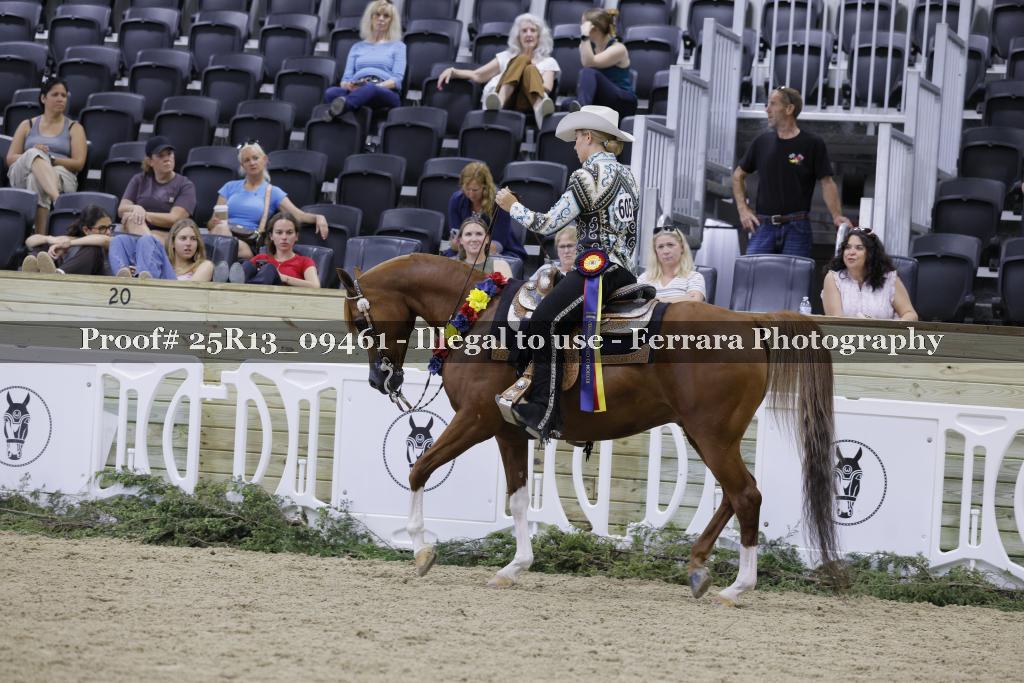 Proof Number 25R13_09461
