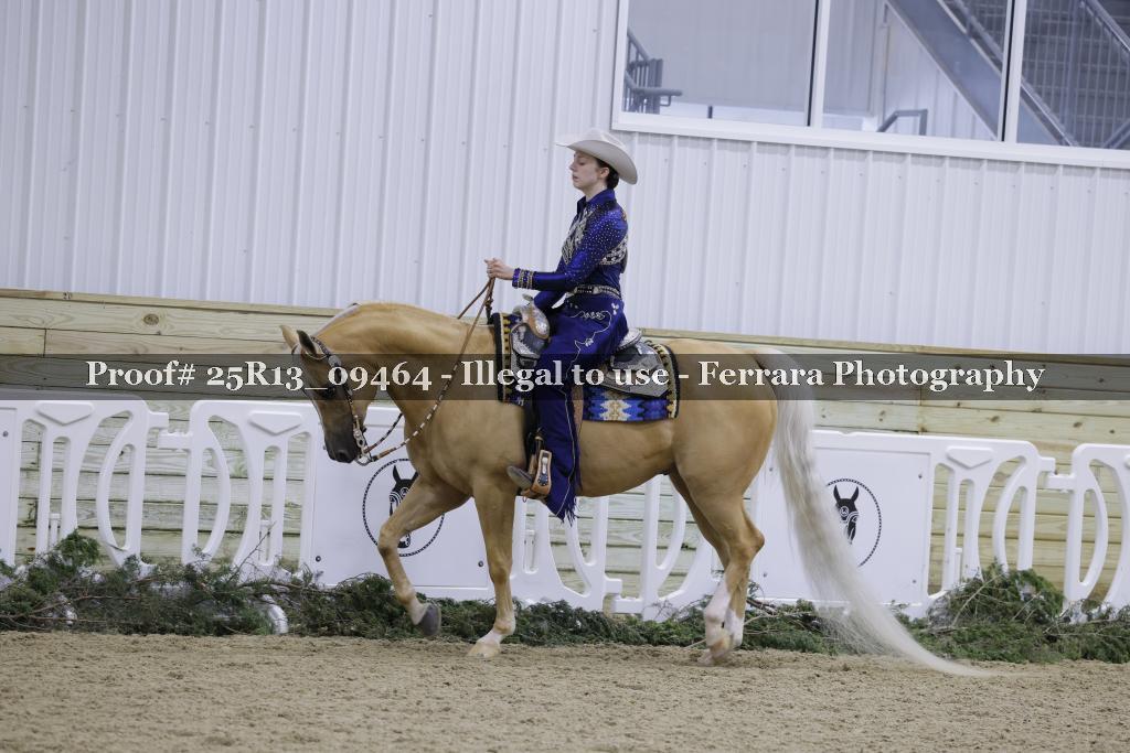 Proof Number 25R13_09464