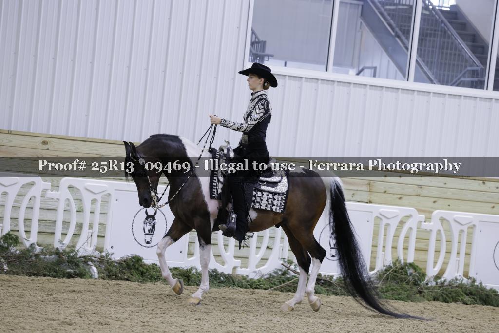 Proof Number 25R13_09469