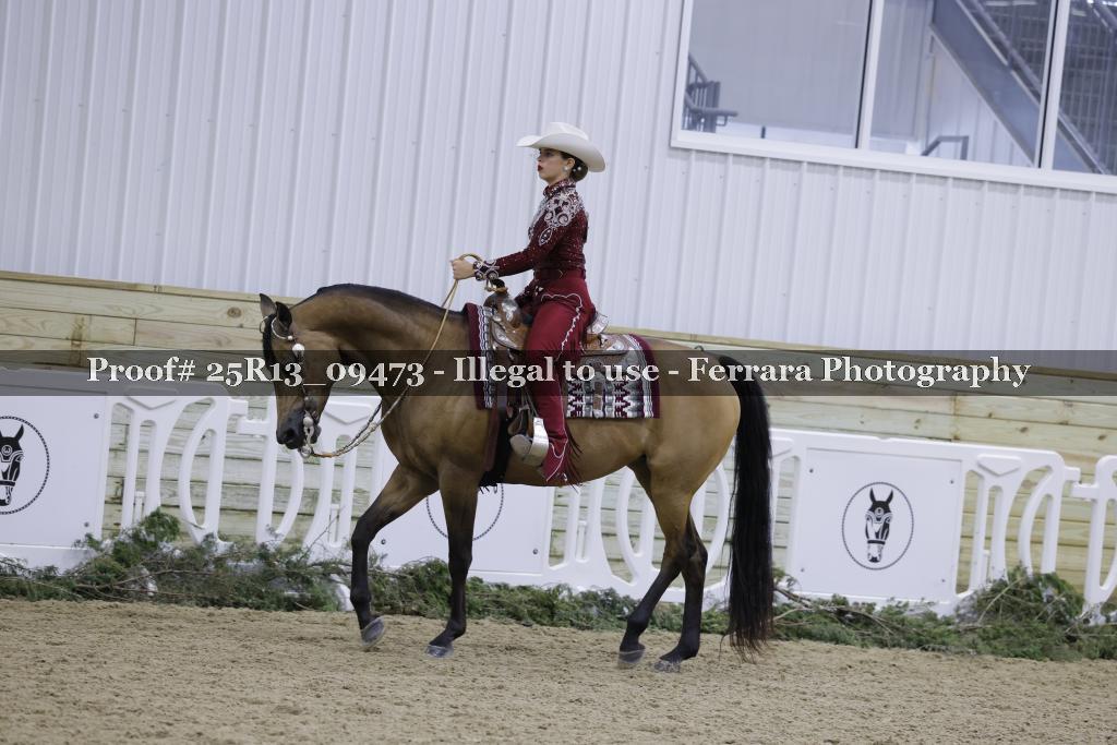 Proof Number 25R13_09473