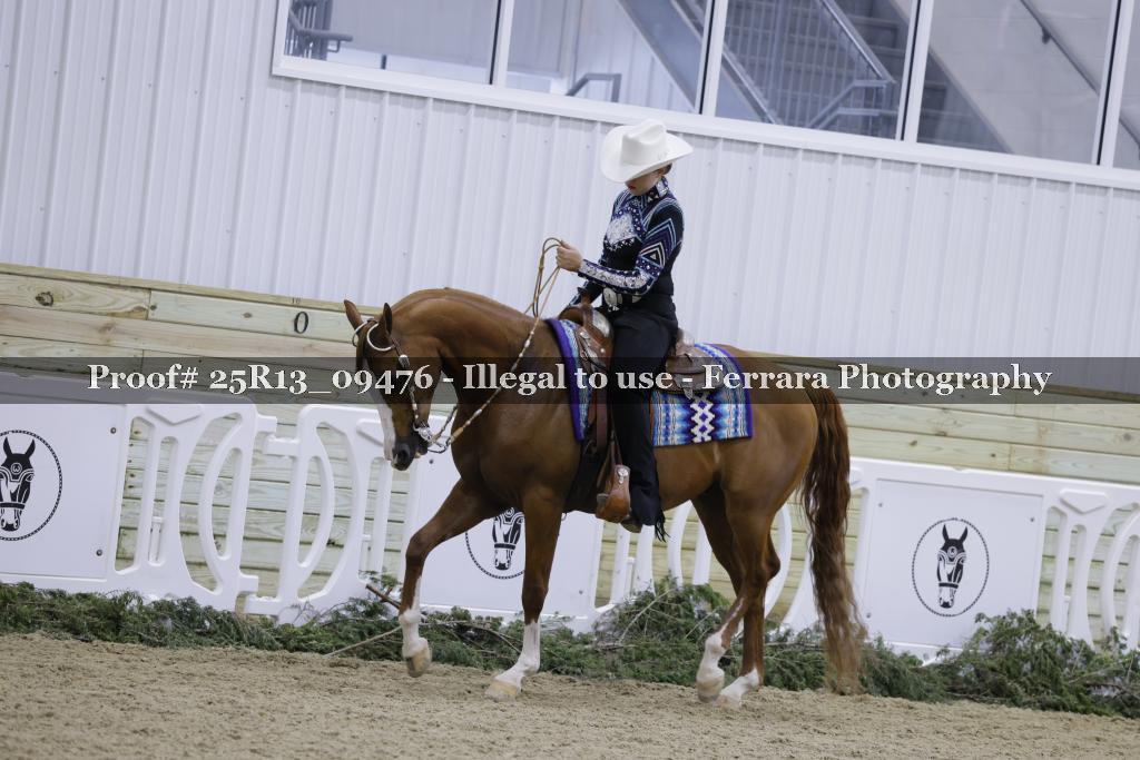 Proof Number 25R13_09476