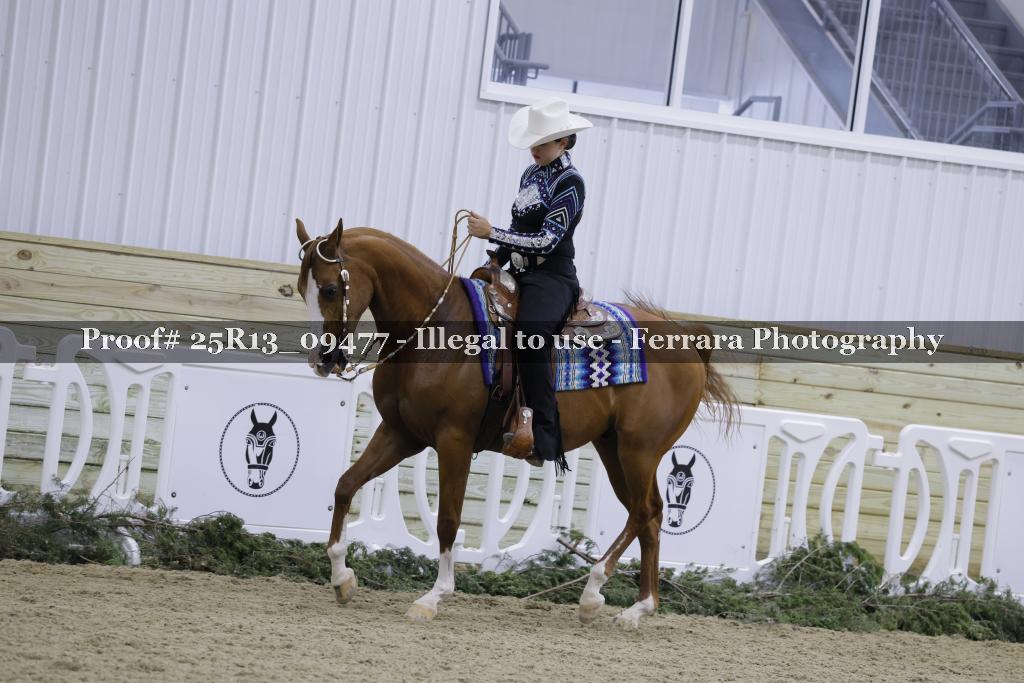 Proof Number 25R13_09477