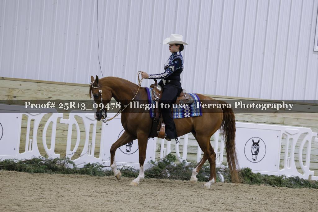 Proof Number 25R13_09478