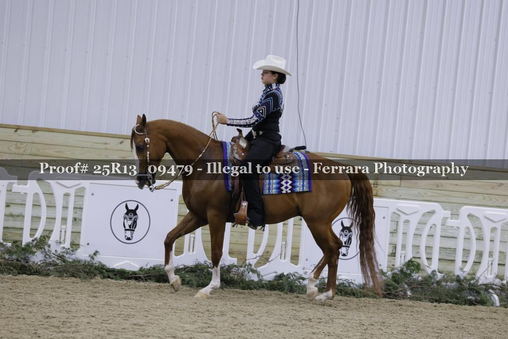 Proof Number 25R13_09479