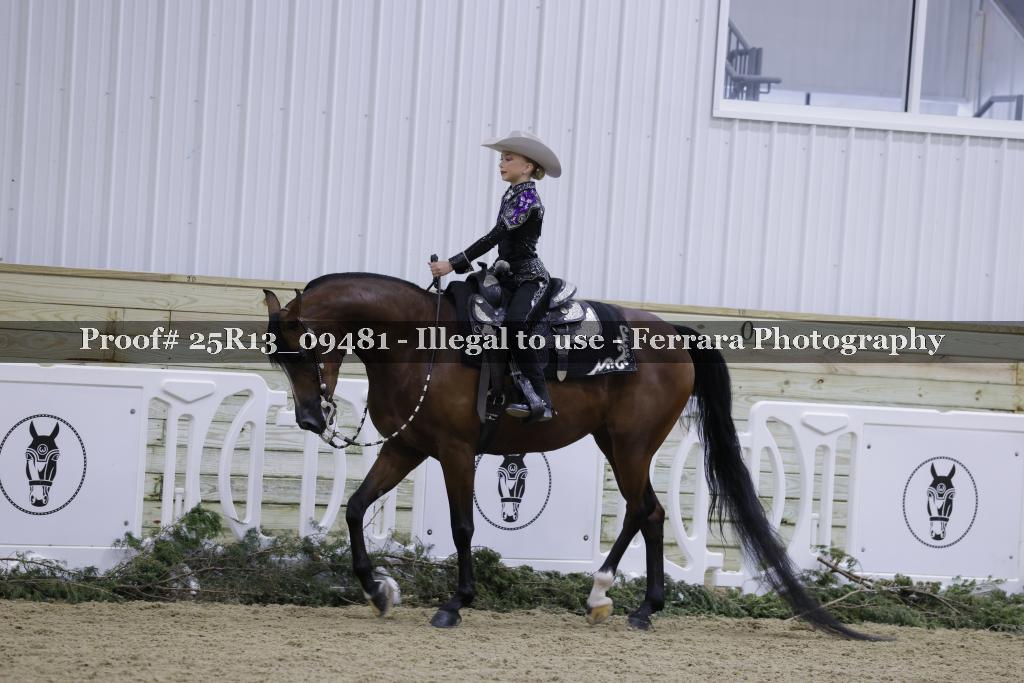 Proof Number 25R13_09481