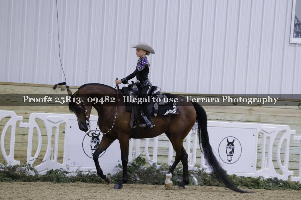 Proof Number 25R13_09482