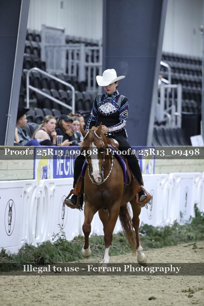 Proof Number 25R13_09498
