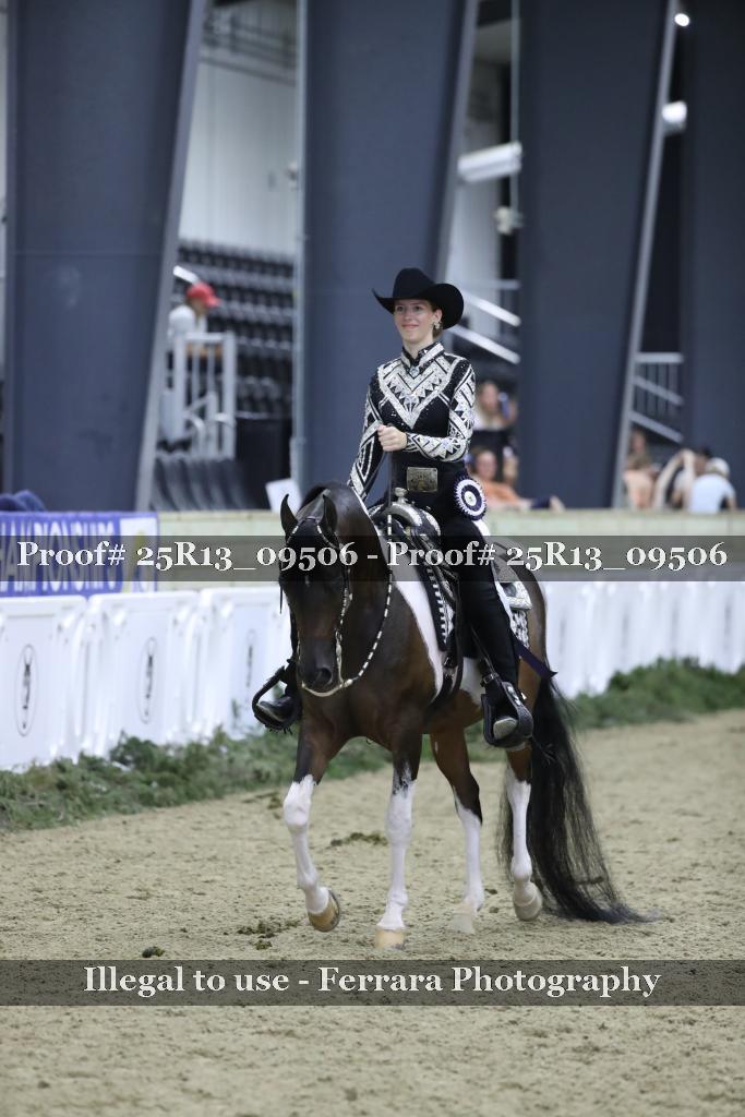 Proof Number 25R13_09506