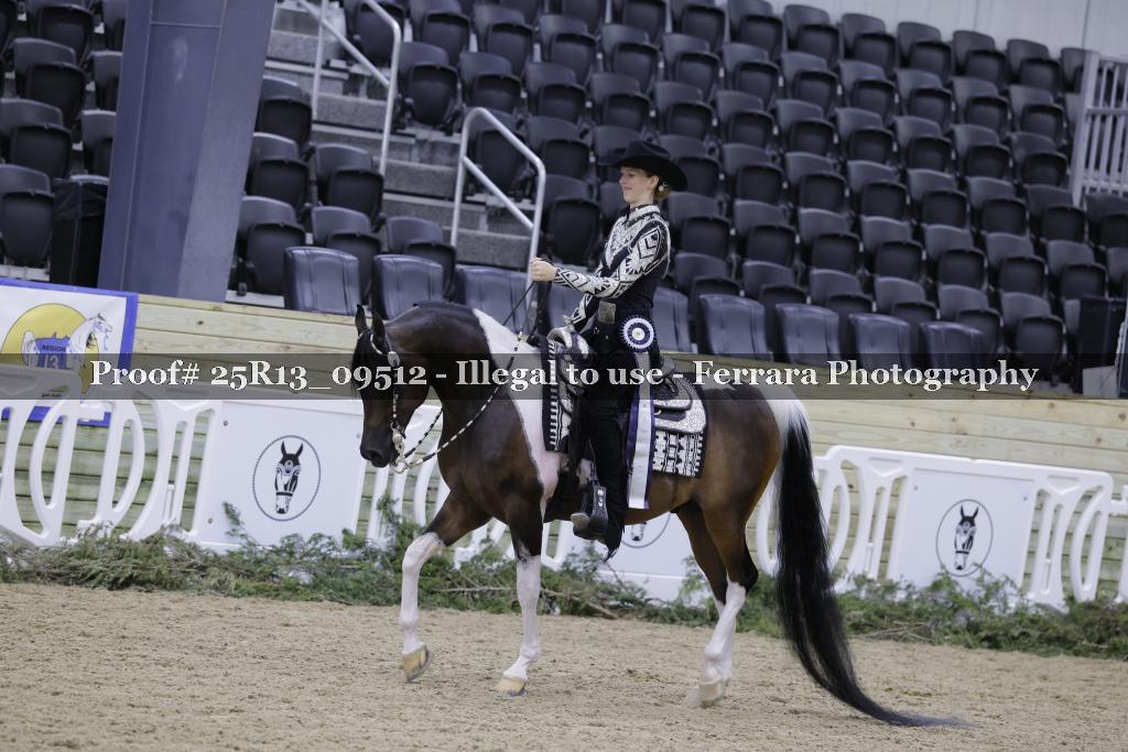 Proof Number 25R13_09512