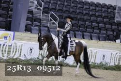 25R13_09512 thumbnail