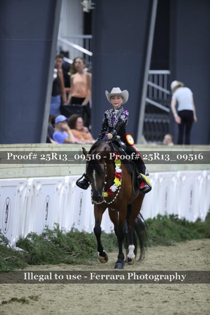 Proof Number 25R13_09516