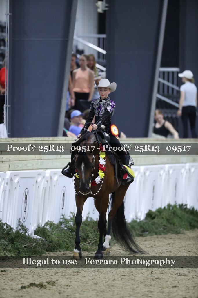 Proof Number 25R13_09517