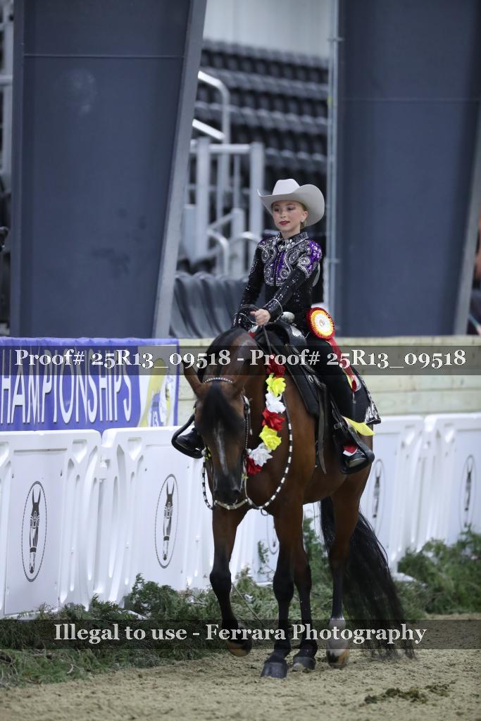 Proof Number 25R13_09518