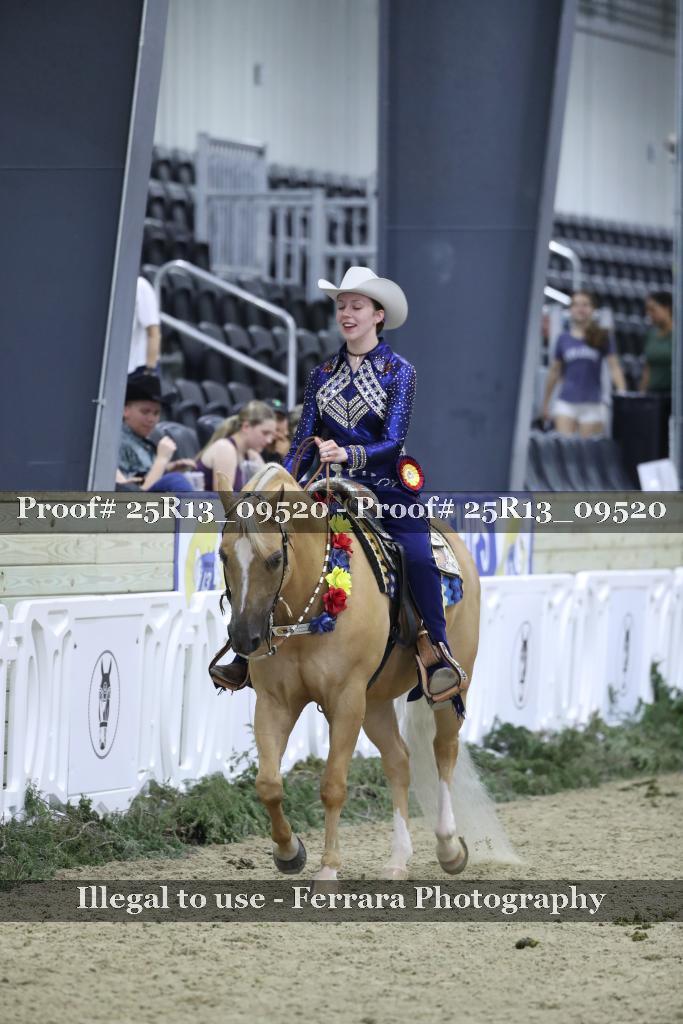 Proof Number 25R13_09520