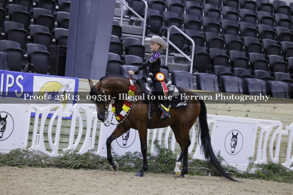 Proof Number 25R13_09531
